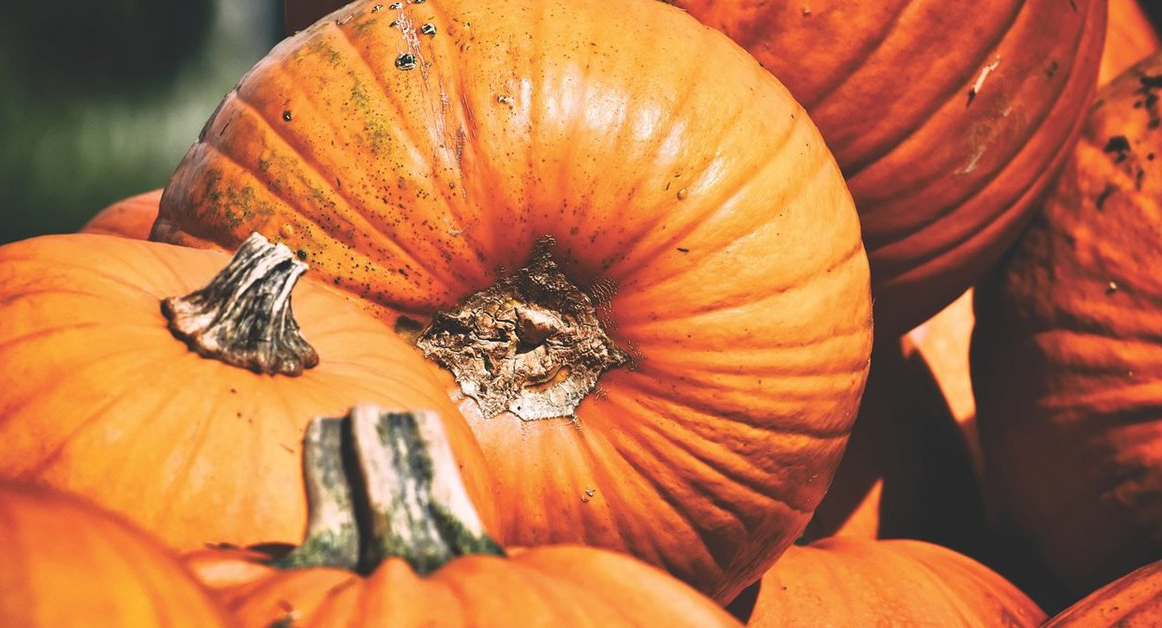 Local pumpkin prices on the rise this Halloween season